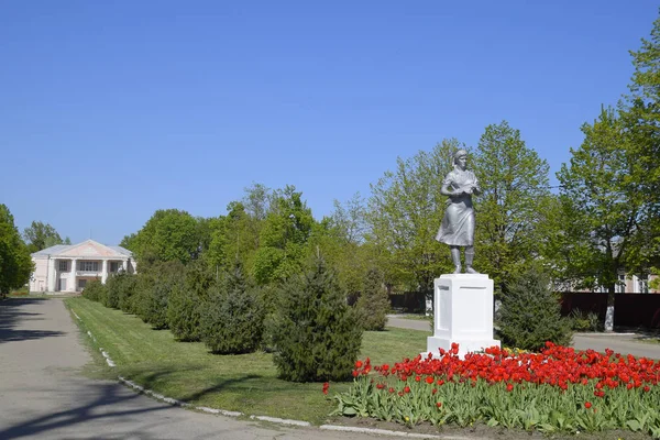 Statua Zbiorowego Rolnika Piedestale Dziedzictwo Ery Radzieckiej Kwietnik Tulipany Młodych — Zdjęcie stockowe