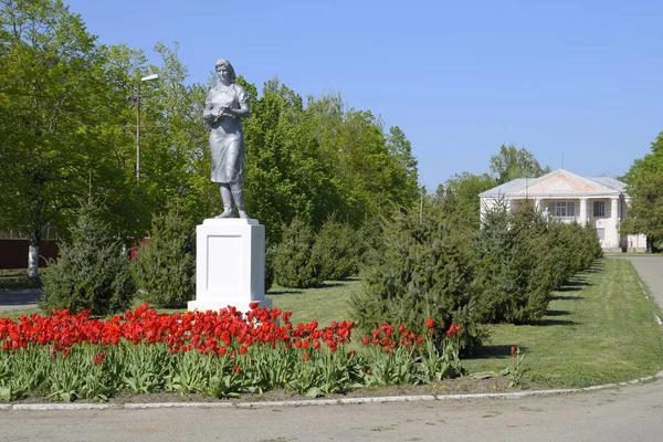 Socha kolektivní farmář na podstavci. Odkaz sovětské éry. Záhon s tulipány a mladé stromy v obci Oktyabrsky. Krasnodarský kraj, okres Krasnoarmeisky. — Stock fotografie