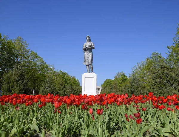 Statua zbiorowego rolnika na piedestale. Dziedzictwo ery radzieckiej. Kwietnik z tulipany i młodych drzew w miejscowości Data i. Krasnodar Krai, Krasnoarmeisky District. — Zdjęcie stockowe