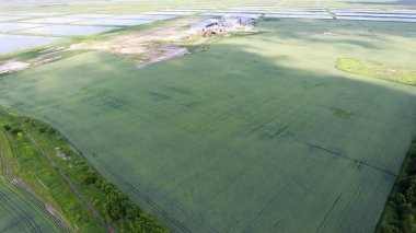 Kurutma ve depolama tahıl için bitki. Pirinç bitki alanları ortasında.
