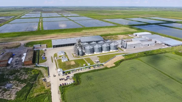 Plant Voor Het Drogen Opslag Van Graan Rijst Plant Het — Stockfoto