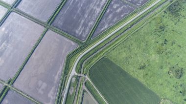 Buğday alanı ve incir altında sürülmüş alanının üstten görünüm. Bir dron çekim