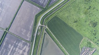 Buğday alanı ve incir altında sürülmüş alanının üstten görünüm. Bir dron çekim
