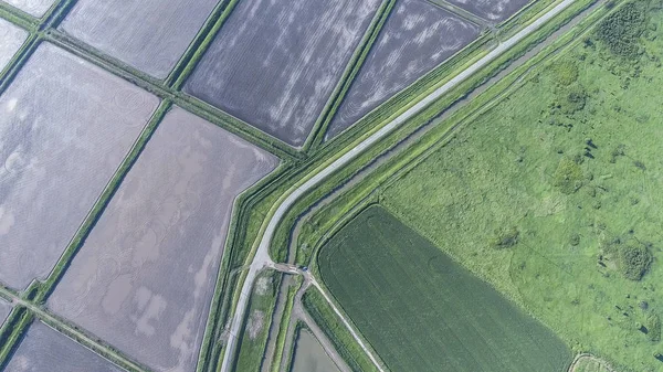Legjobb Kilátás Búza Felszántott Mező Alatt Füge Egy Drone Felvétel — Stock Fotó