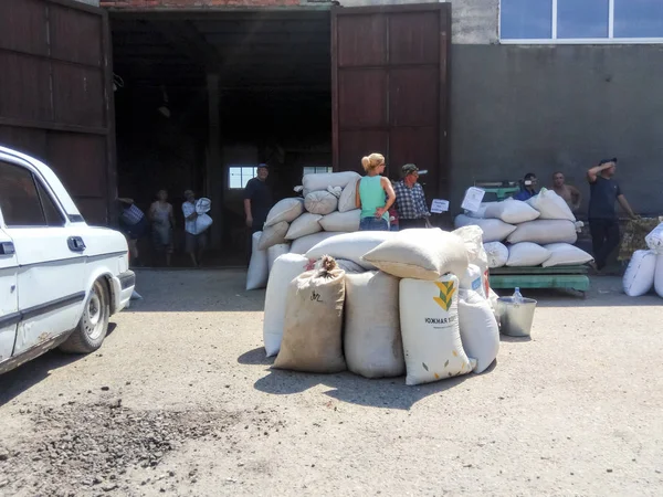 Granting of grain to the co-investors of landed property. Getting wheat and barley in bags in the warehouse.