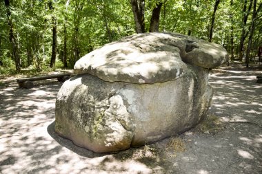 Büyük Shapsug dolmen