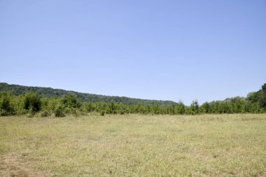 Yüksek dağlık manzara. Dağlarda bir toprak yol. Forest Hills