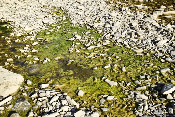 Der Gebirgsfluss. flacher Gebirgsfluss, Wasser fließt durch die Felsen. — Stockfoto