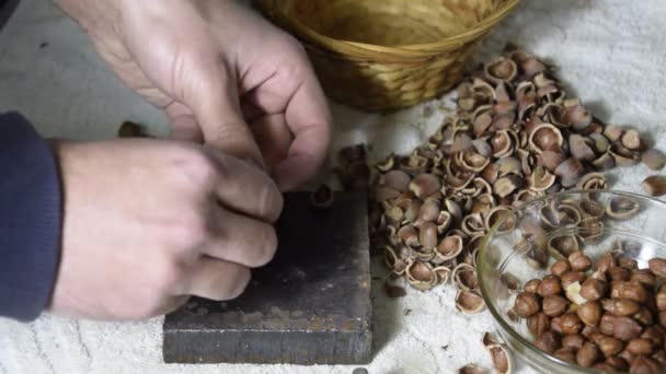 Flisning av hasselnötter med en hammare på bordet — Stockvideo