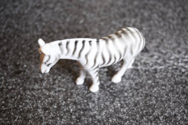 Krasnodar, Rusya - 14 Şubat 2015: Oyuncak zebra. Yerdeki plastik oyuncak.