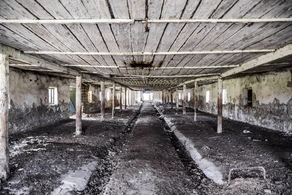 An old abandoned farm for cows. Style Abandoned.