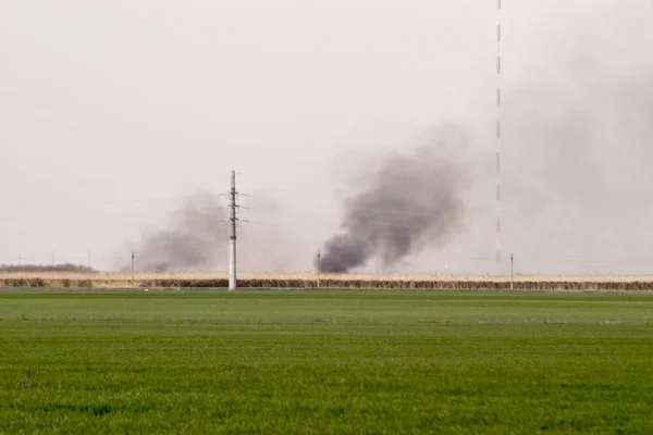 大火在田野里很遥远 从芦苇和甘蔗的燃烧中冒出的烟棍 — 图库照片