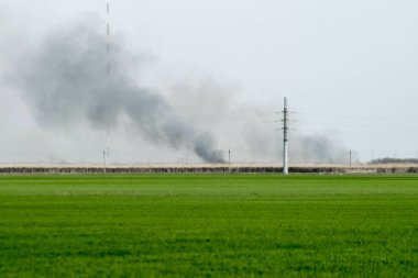 Yangın alanında uzakta. Kulüpleri sazlık ve baston yanma gelen duman