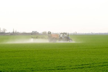 Yüksek tekerlekli traktör gübre üzerinde genç buğday yapıyor. İnce dağınık sprey kimyasalların kullanımı. Traktör ince dağınık gübre için bir sprey cihazı ile.
