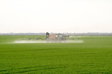 Yüksek tekerlekli traktör gübre üzerinde genç buğday yapıyor. İnce dağınık sprey kimyasalların kullanımı. Traktör ince dağınık gübre için bir sprey cihazı ile.