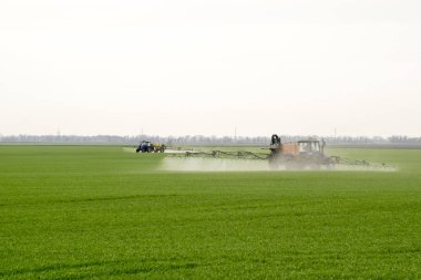 Yüksek tekerlekli traktör gübre üzerinde genç buğday yapıyor. İnce dağınık sprey kimyasalların kullanımı. Traktör ince dağınık gübre için bir sprey cihazı ile.