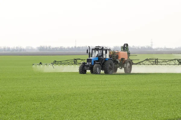 Traktor Mit Hohen Rädern Macht Dünger Auf Jungen Weizen Die — Stockfoto