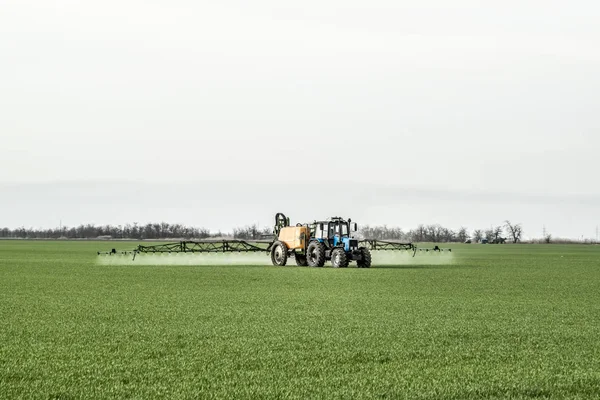 Traktor Mit Hohen Rädern Macht Dünger Auf Jungen Weizen Die — Stockfoto