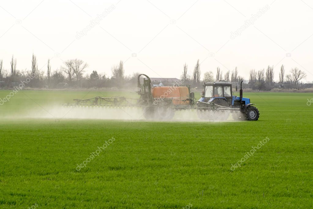 Tractor with high wheels is making fertilizer on young wheat. The use of finely dispersed spray chemicals. Tractor with a spray device for finely dispersed fertilizer.