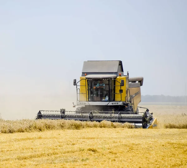 Harvesting wheat with a combine harvester. — Stock Photo, Image