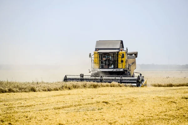 Fields Krasnodar Russia July 2017 Harvesting Wheat Combine Harvester Field — Stock Photo, Image