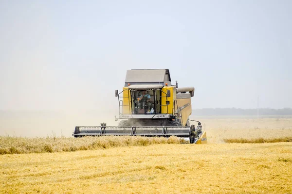 Harvesting wheat with a combine harvester. — Stock Photo, Image