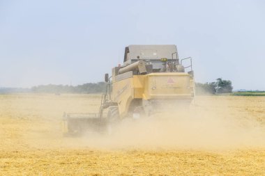 Krasnodar, Rusya Federasyonu - 15 Haziran 2017 alanları: buğday ile birleştirin hasat hasat. Olgun buğday tarlası. Tarım makineleri.