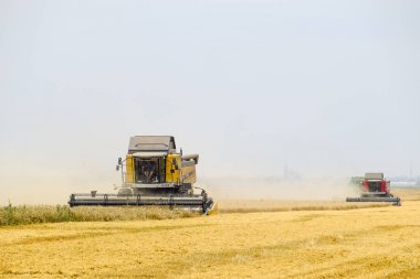 Krasnodar, Rusya Federasyonu - 15 Haziran 2017 alanları: buğday ile birleştirin hasat hasat. Olgun buğday tarlası. Tarım makineleri.