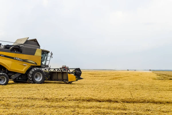 Campos Cerca Krasnodar Rusia Julio 2017 Cosechando Trigo Con Una — Foto de Stock