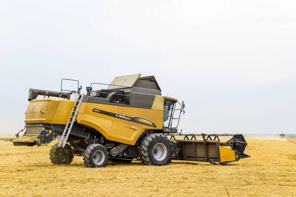 フィールド ロシアのクラスノダール付近 2017 コンバインで麦を収穫します 熟した小麦のフィールド 農業機械 — ストック写真