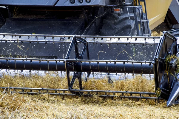 Harvesting Wheat Combine Harvester Field Ripe Wheat Agricultural Machinery — Stock Photo, Image