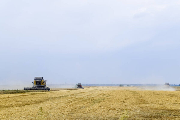 Сбор пшеницы с комбайном. Поле спелой пшеницы. Сельскохозяйственная техника
.