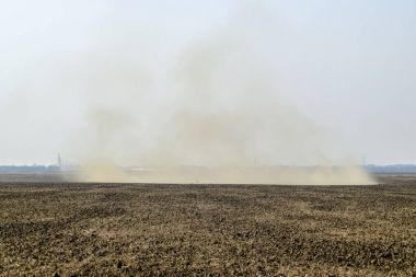 Kum fırtınası. Kasırga alanında. Kulüpleri toz.
