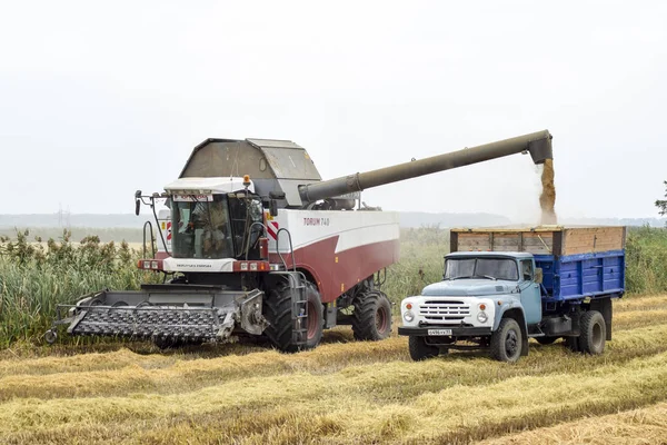 Russland Poltavskaya Village September 2015 Entladen Von Getreide Aus Einem — Stockfoto