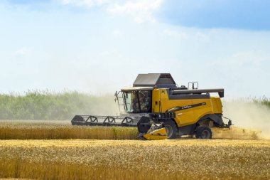 Poltavskaya Köyü, Rusya - 6 Eylül 2017: biçerdöver Traktörler birleştirmek