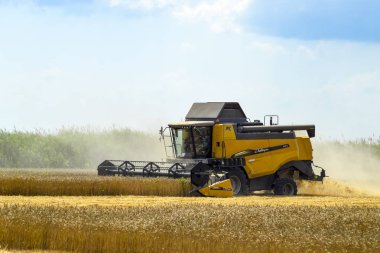 Poltavskaya Köyü, Rusya - 6 Eylül 2017: biçerdöver Traktörler birleştirmek