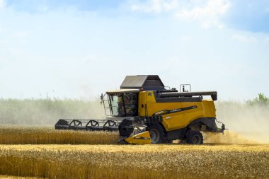 Poltavskaya Köyü, Rusya - 6 Eylül 2017: biçerdöver Traktörler birleştirmek