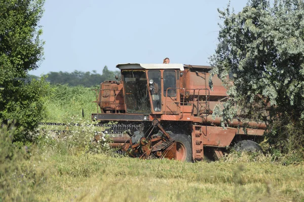 Pueblo Poltavskaya Rusia Septiembre 2017 Cosechadoras Cosechadoras Maquinaria Agrícola — Foto de Stock