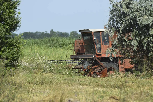 Ceifeira Velha Enferrujada Ceifeiras Debulhadoras Máquinas Agrícolas Máquina Colheita Grãos — Fotografia de Stock