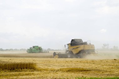 Combain buğday ürün üzerinde toplar. Alanında Tarım makineleri.