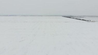 Kışın sürülmüş bir alanının üstten görünüm. Karda buğday tarlası.