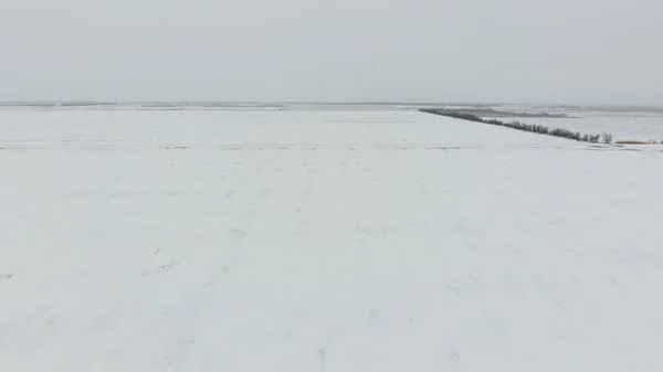 Vista superior de un campo arado en invierno. Un campo de trigo en la nieve — Foto de Stock