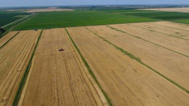 Arpa biçerdöver hasat. Buğday ve arpa, Tarım makineleri iş sahası. Traktörler ve biçerdöverler