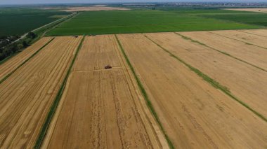 Arpa biçerdöver hasat. Buğday ve arpa, Tarım makineleri iş sahası. Traktörler ve biçerdöverler