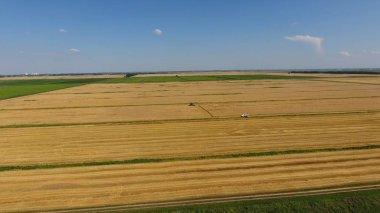 Arpa biçerdöver hasat. Buğday ve arpa, Tarım makineleri iş sahası. Traktörler ve biçerdöverler