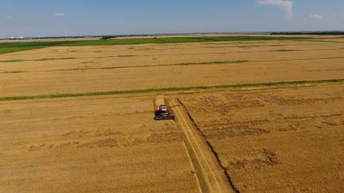 Arpa biçerdöver hasat. Buğday ve arpa, Tarım makineleri iş sahası. Traktörler ve biçerdöverler.