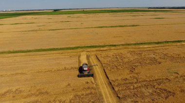 Arpa biçerdöver hasat. Buğday ve arpa, Tarım makineleri iş sahası. Traktörler ve biçerdöverler.