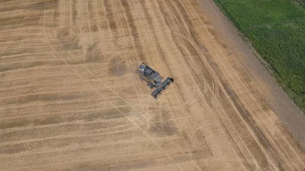 Cosechadoras de cebada. Campos de trigo y cebada, el trabajo de maquinaria agrícola . —  Fotos de Stock