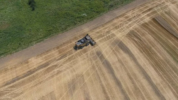 Harvesting barley harvesters. Fields of wheat and barley, the work of agricultural machinery. — Stock Photo, Image