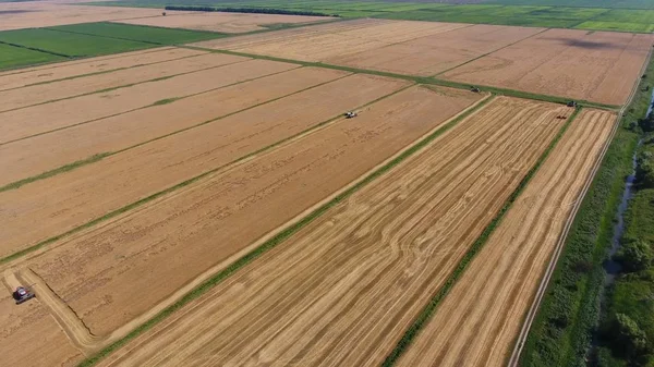Erntemaschinen für die Gerste. Felder von Weizen und Gerste, die Arbeit der landwirtschaftlichen Maschinen. Mähdrescher und Traktoren — Stockfoto